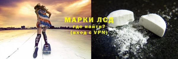 PSILOCYBIN Алзамай