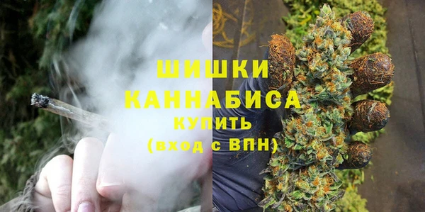 PSILOCYBIN Алзамай